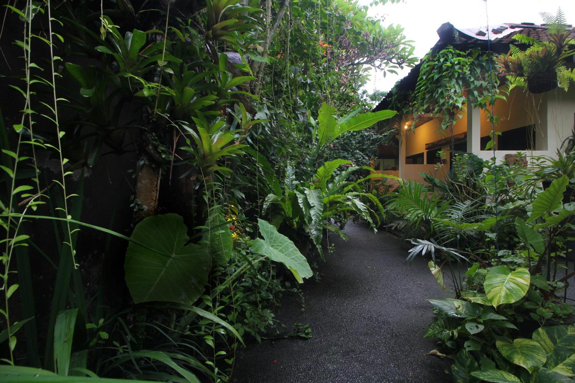 Sari Gong Guest House, A Trishula Collection Ουμπούντ Εξωτερικό φωτογραφία