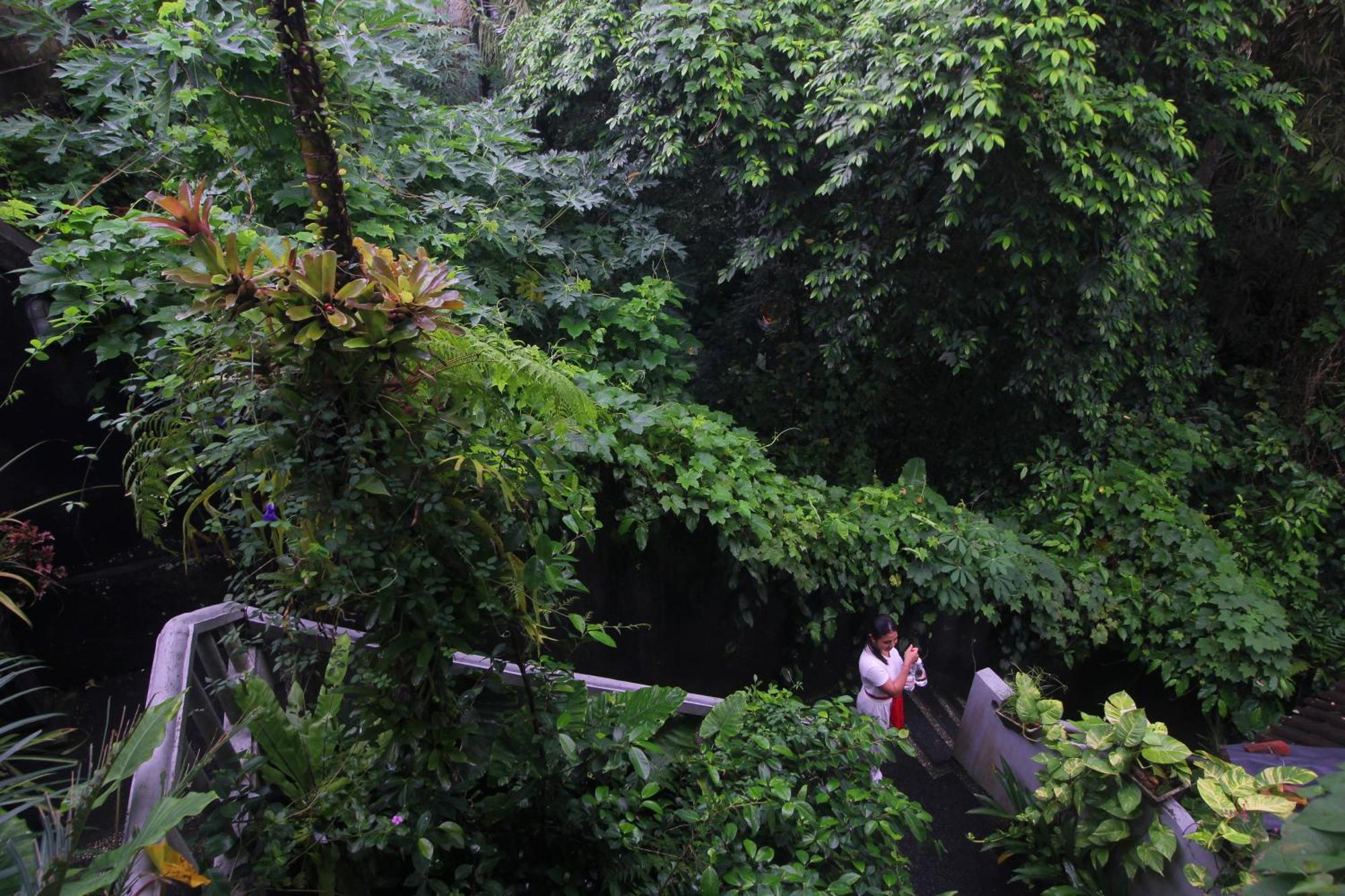 Sari Gong Guest House, A Trishula Collection Ουμπούντ Εξωτερικό φωτογραφία